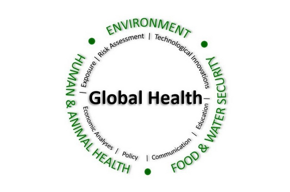 one health emblem. "Global health" surrounded by environment, food and water security, and human and animal health