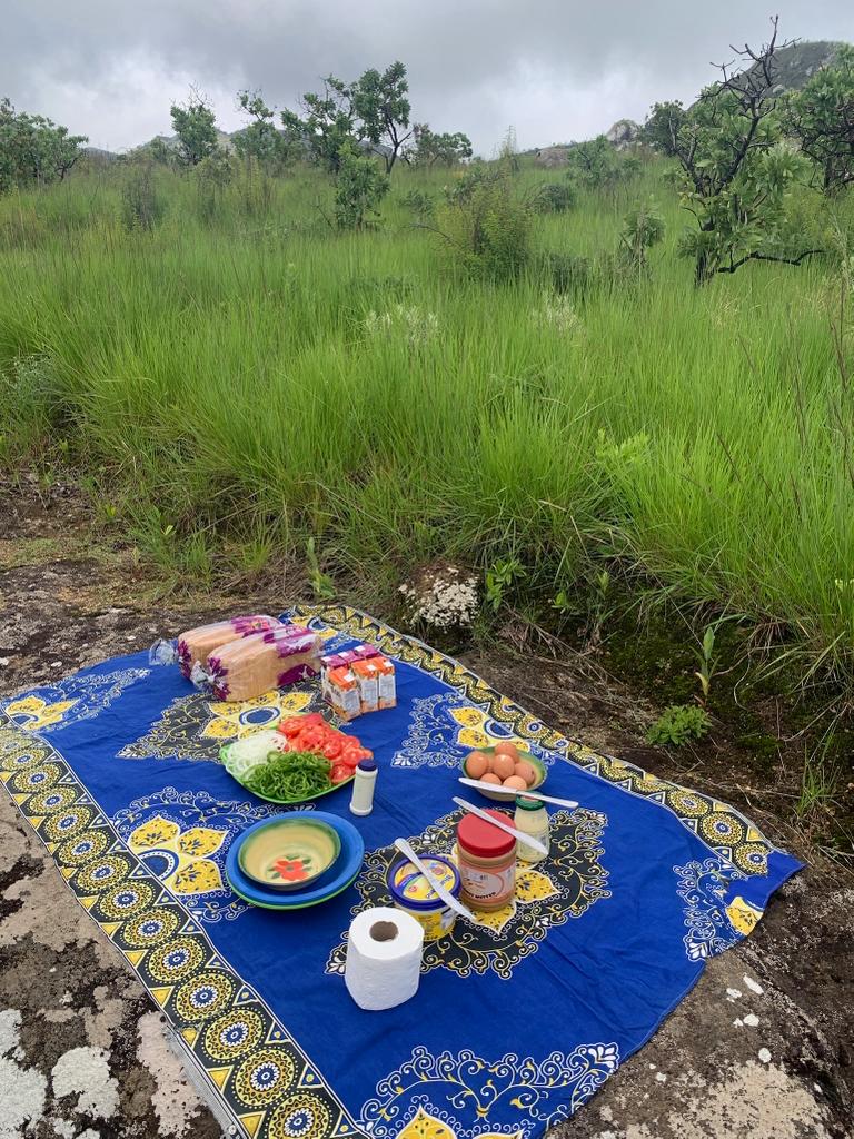 A picnic atop a pretty blue fabric with grass and trees around