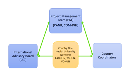 Flowchart with 4 boxes linking to eachother: "Project Management Team (PAT) (CANR,COM-IGH)" at the top, then "Country Coordinators", "Country One Health University Network: LAOHUN, TOHUN, VOHUN", and "International Advisory Board (IAB)" at the bottom.
