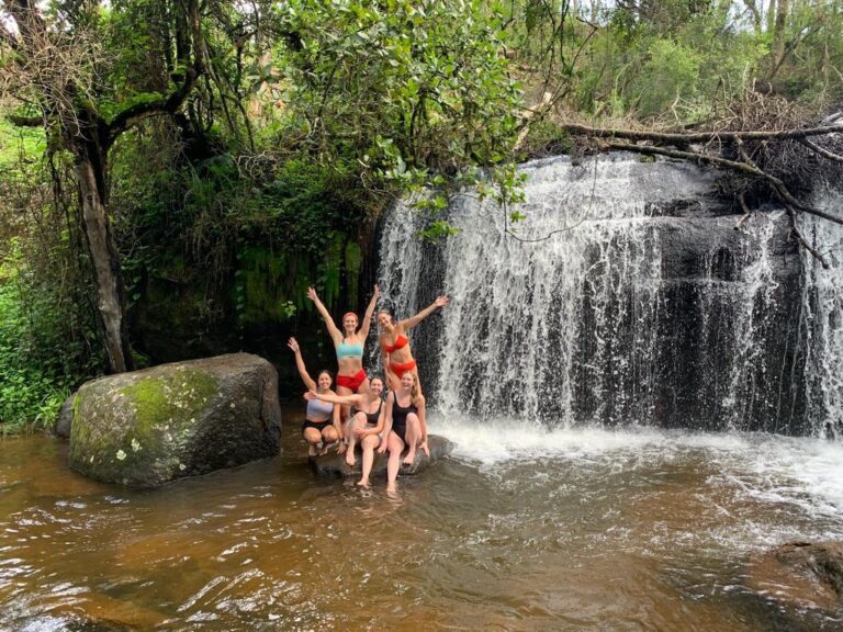 A group of people in swimsuits standing in front of a waterfall with foliage surrounding it