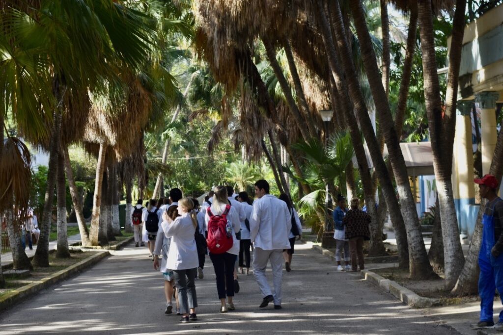 A group of people with some backpacks walking down a street with palm trees hanging over it