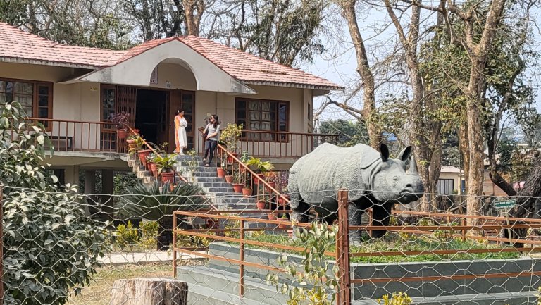 A terraced building with stairs and a rhino statue outside.